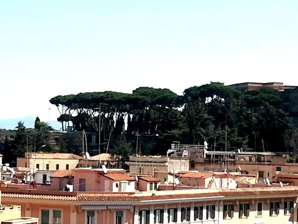 Apartment Priscilla & Parking At St Peter Basilica +free Calls To Usa, Canada, China *